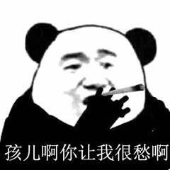 孩儿啊你让我很愁啊（熊猫头抽烟）