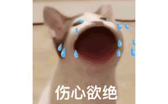 伤心欲绝（POPO猫表情包） - POPO猫 GIF 动图表情包