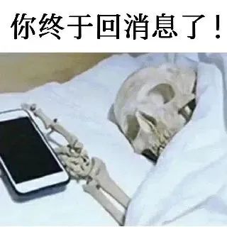 你终于回消息了！