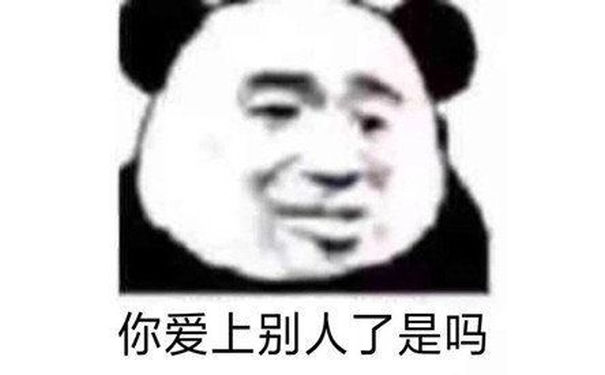 你爱上别人了是吗