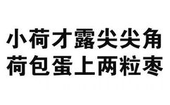 小荷才露尖尖角，荷包蛋上两粒枣 - 那些牛逼的纯文字表情