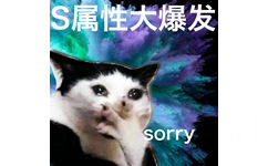 S属性大爆发sorry