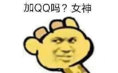 加 QQ吗？女神 - 这组歪头长颈鹿也蛮沙雕的