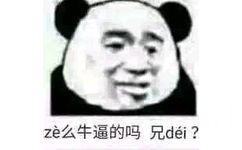 z么牛逼的吗兄dei?(这么牛逼的吗 兄弟)