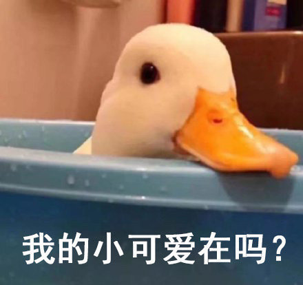 我的小可爱在吗?