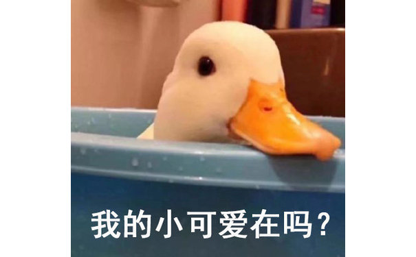 我的小可爱在吗?