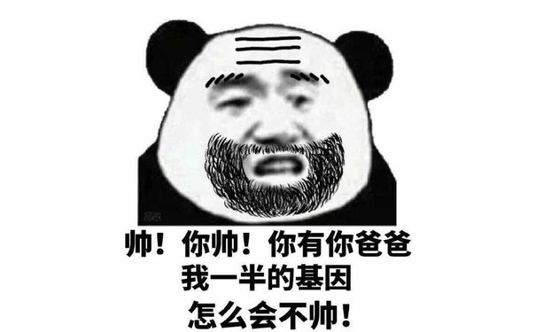 帅！你帅！你有你爸爸我一半的基因，怎么会不帅 - 儿子，是什么让我们父子反目成仇？