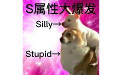 S属性大爆发Silly-→→Stupid→ - S属性大爆发表情包
