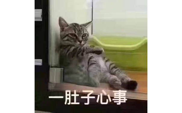 一肚子心事（猫咪）