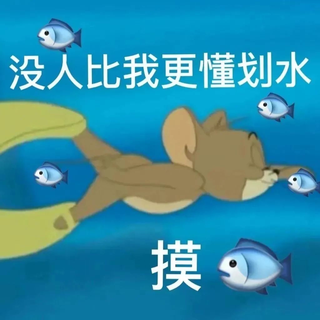 没人比我更懂划水摸