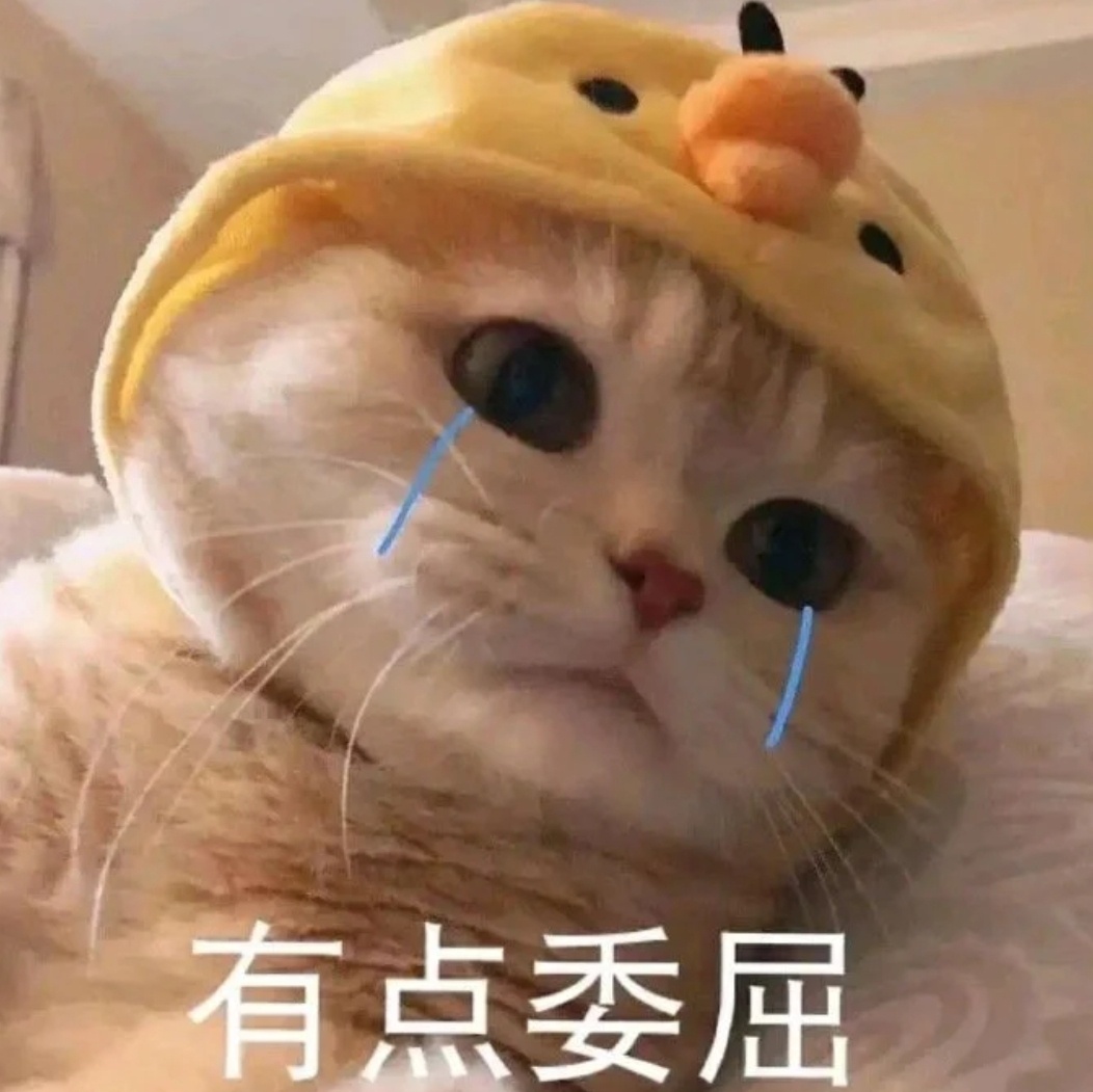 猫咪流泪表情包  有点委屈