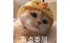 猫咪流泪表情包  有点委屈