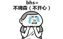 bhs=不嗨森 不开心 - 学会了05后的表达方式！ ​