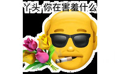 丫头你在害羞什么