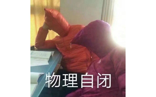 物理自闭