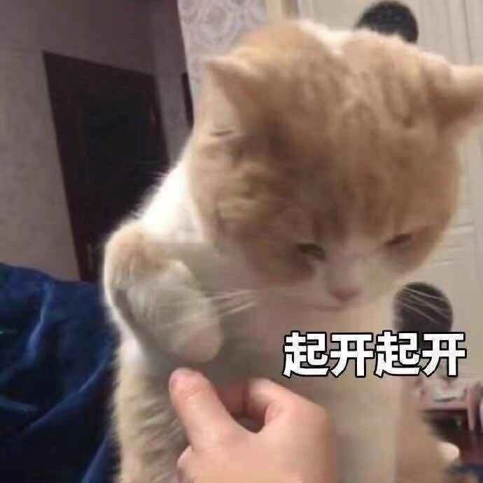 起开起开