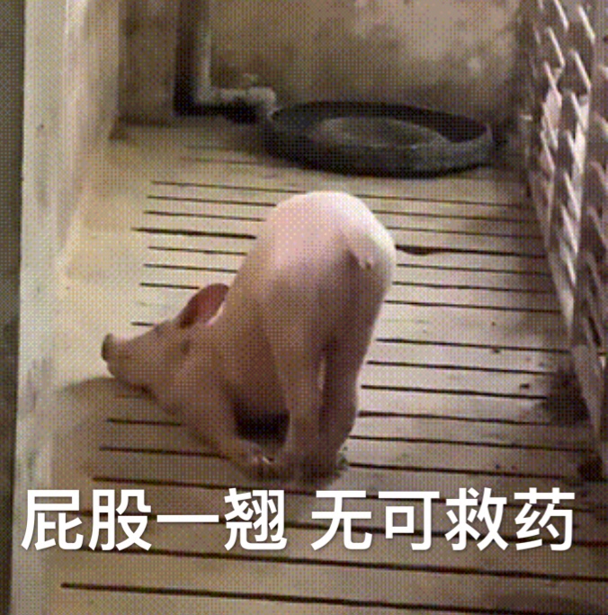 屁股一翘 无可救药（猪猪表情包）