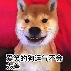 爱笑的狗运气不会太差 - 一组柴犬doge微信表情