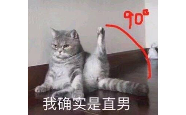 我确实是直男（猫咪90度劈腿）