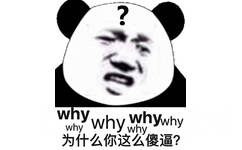 why why why 为什么你这么傻逼？（熊猫头）