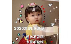 2020年的小愿望晚上不失眠卡里不缺钱 - 新的一年依旧俗气！只想发财！