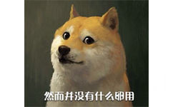 然而并没有什么卵用 - doge最新装逼表情