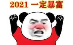 2021一定暴富(熊猫头表情包)