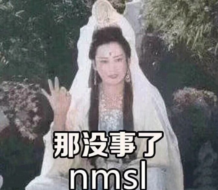 那没事了 nmsl