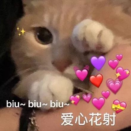 biu ~biu ~biu ~爱心花射(猫咪表情包)