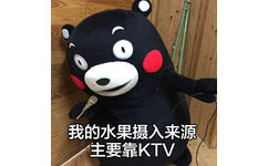 我的水果摄入来源主要靠 KTV - 这就是我！太真实了