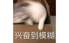 兴奋到模糊(猫咪表情包)