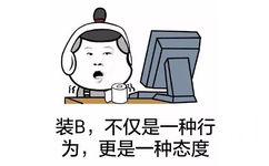 装B，不仅是一种行为，更是一种态度 - 岳云鹏表情包 （金馆长）