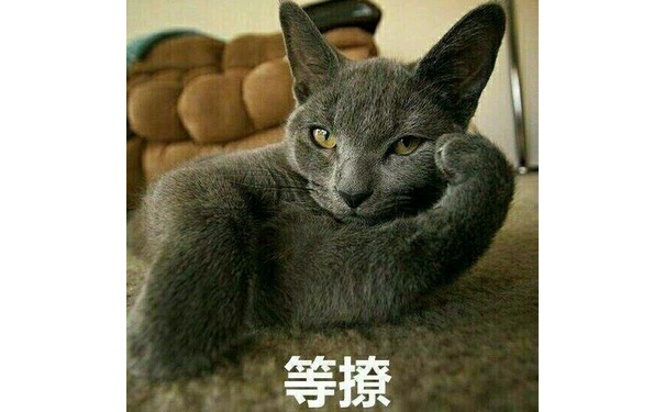 等撩 - 一组猫表情，喵喵