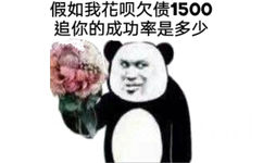 假如我花呗欠债1500你的成功率是多少