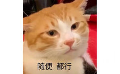 随便都行(猫猫表情包)