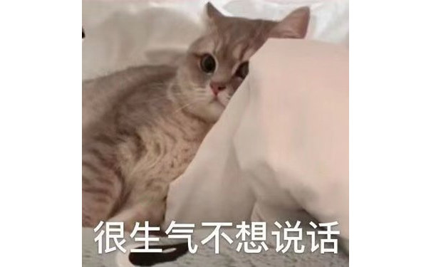 很生气不想说话(猫咪表情包)