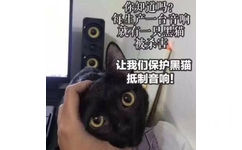 你知道吗?每生产就有一只黑猫被杀害让我们保护黑猫抵制音响! - 没有买卖，就没有杀害 ​