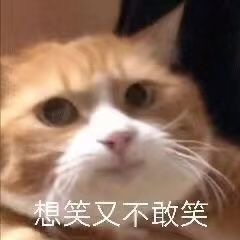 想笑又不敢笑(猫猫表情包) - 猫猫狗狗表情包