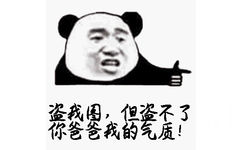 盗我图,但盗不了你爸爸我的气质!