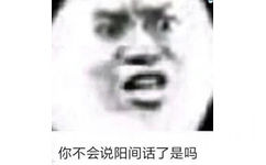 你不会说阳间话了是吗(熊猫头表情包)