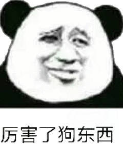 厉害了狗东西