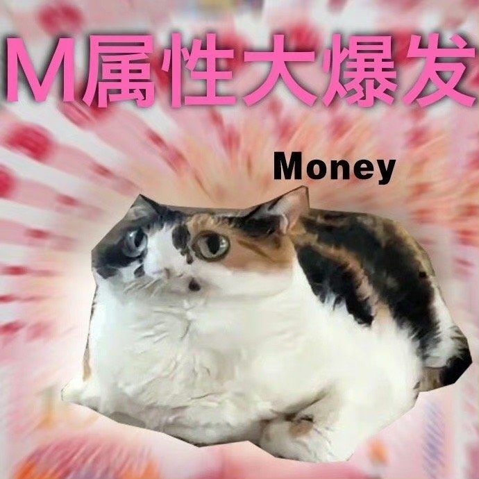 M属性大爆发Money