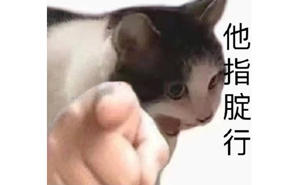 他指腚行(猫咪指人表情包)