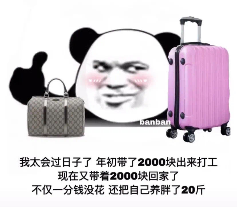 banban 我太会过日子了年初带了2000块出来打工现在又带着2000块回家了不仅一分钱没花还把自己养胖了20斤(熊猫头表情包)