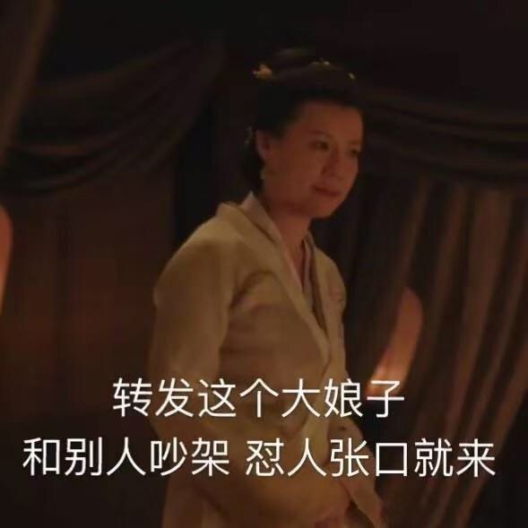 转发这个大娘子，和别人吵架 怼人张口就来 - 《知否》表情包​系列