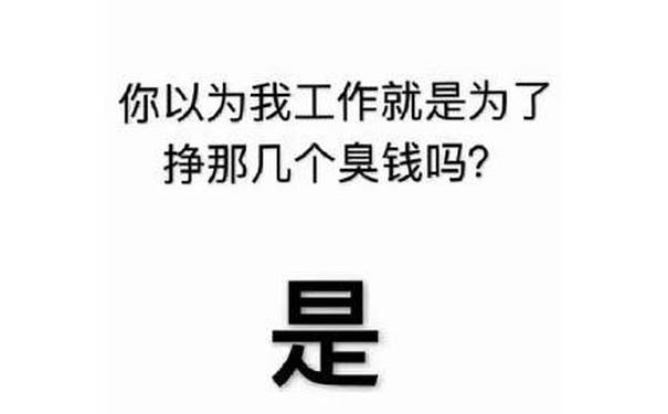 你以为我工作就是为了挣那几个臭钱吗?是