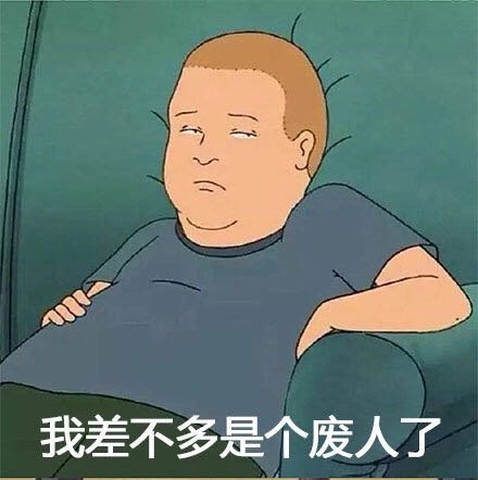 我差不多是个废人了