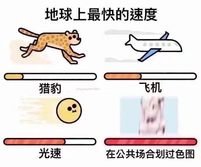 地球上最快的速度猎豹飞机光速在公共场合划过色图