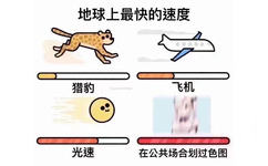 地球上最快的速度猎豹飞机光速在公共场合划过色图