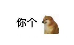 你个(你个狗)